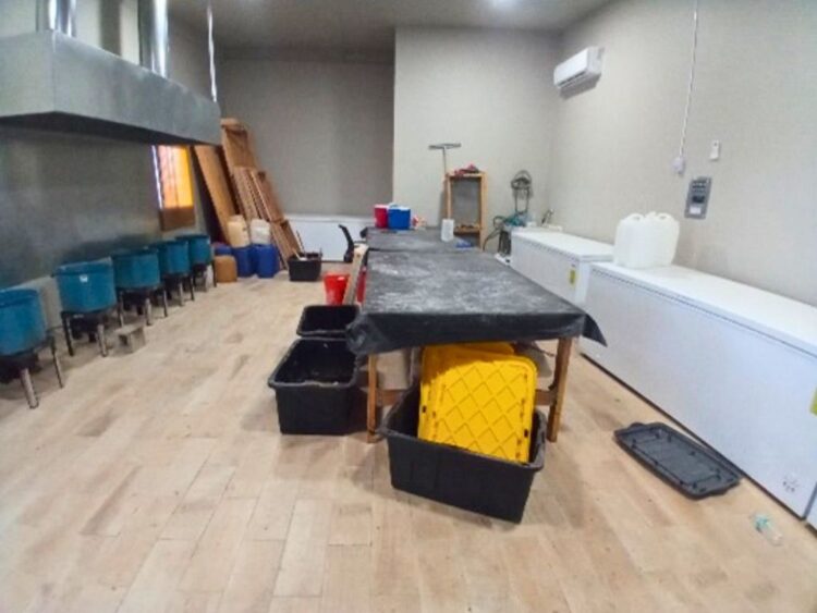 laboratorio clandestino de drogas sintéticas en Mexicali. AMEXI