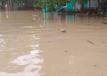 Las fuertes lluvias registradas en las últimas horas elevaron los niveles de los ríos en el sur de Veracruz, generando afectaciones en varios municipios de la región.