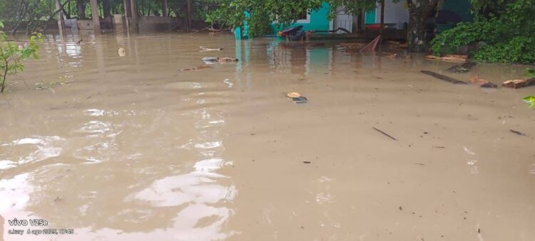 Las fuertes lluvias registradas en las últimas horas elevaron los niveles de los ríos en el sur de Veracruz, generando afectaciones en varios municipios de la región.