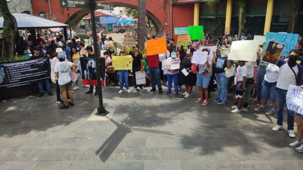 Integrantes de colectivos de protección animal marcharon esta mañana desde el Parque Castillo hasta el Paseo del Río de Orizaba.