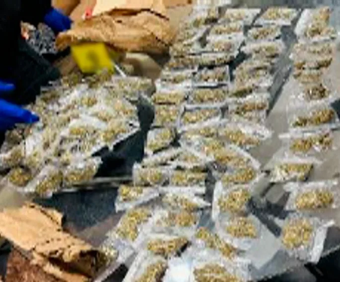 La Secretaría de Marina realizó diversas acciones relevantes en el país. Aseguran armas, drogas y equipo táctico.