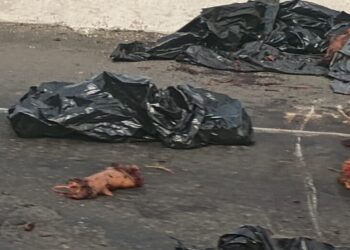 La Fiscalía General del Estado de Veracruz confirma la aparición de restos anatómicos hallados sobre la carretera Poza Rica-Cazones.