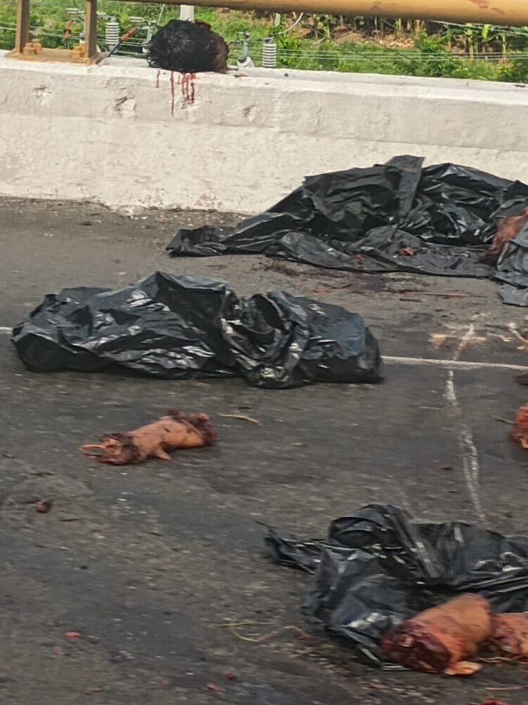 La Fiscalía General del Estado de Veracruz confirma la aparición de restos anatómicos hallados sobre la carretera Poza Rica-Cazones.