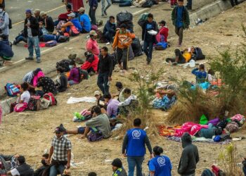 La ACNUR reveló que en el 2025 aumentó la migración forzada por violencia hacia México de varias naciones del orbe.