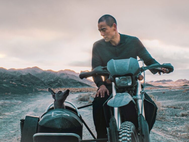 Se estrena el filme del director chino Guan Hu, Black Dog