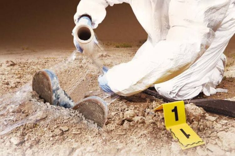 En México continúa la crisis forense; existen rezagos, desigualdad y cuerpos sin identificar