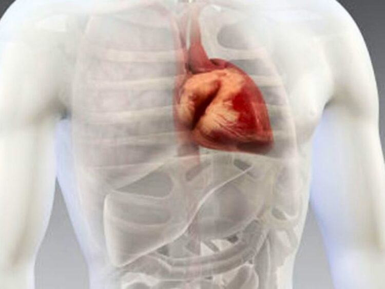 Colesterol alto. Asesino silencioso. AMEXI