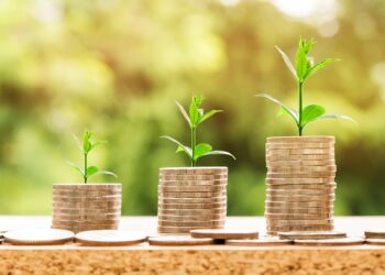 Guía para poner a trabajar tu dinero: pagarés, Cetes, Afores, fondos…