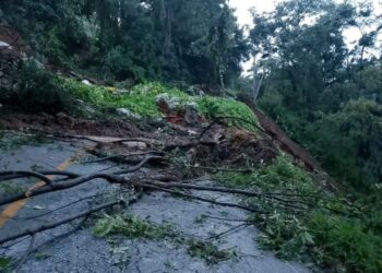 El deslave en la carretera Tenancingo-Villa Guerrero. AMEXI