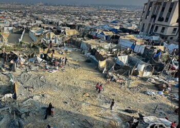 Plan de paz de Trump para Gaza recibe apoyo internacional