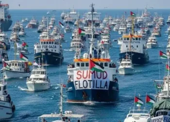 Embajada de Israel niega abusos contra Greta Thunberg