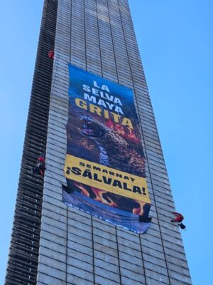 Activistas de Greenpeace escalan Estela de Luz y piden parar devastación en la Selva Maya