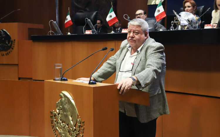 Senado niega licencia a Irlanda Gabriela Pacheco como jueza de Distrito