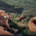 Leones hallados en un rancho de Ixtapan de la Sal, Edomex. Foto Especial