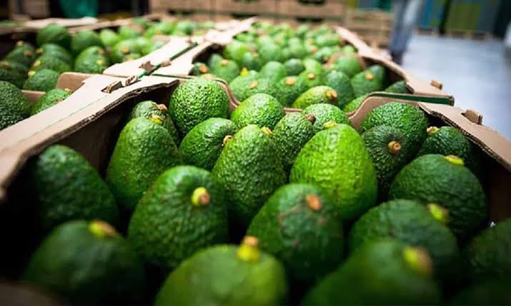 Aguacate