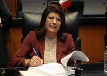 Mariela Gutiérrez deja la presidencia de la Comisión de Zonas Metropolitanas y Movilidad