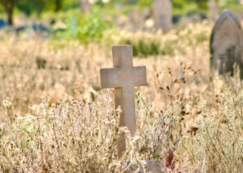 Bajan muertes en primer trimestre: enfermedades del corazón, diabetes y cáncer siguen como principales causas