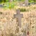 Bajan muertes en primer trimestre: enfermedades del corazón, diabetes y cáncer siguen como principales causas