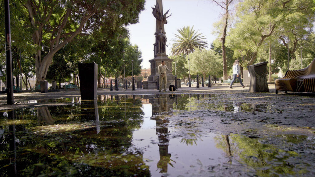 Pelicula #Rats AMEXI/Foto/Cortesía