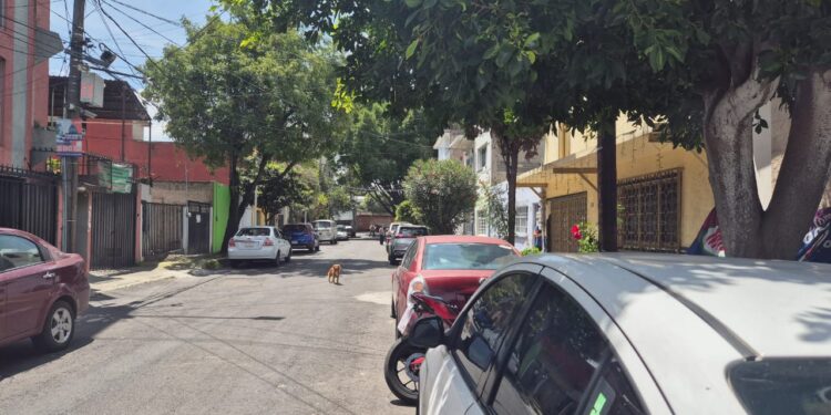 Segundo Simulacro Nacional 2025. Agriícola Oriental. AMEXI/Foto/Arturo Ramos