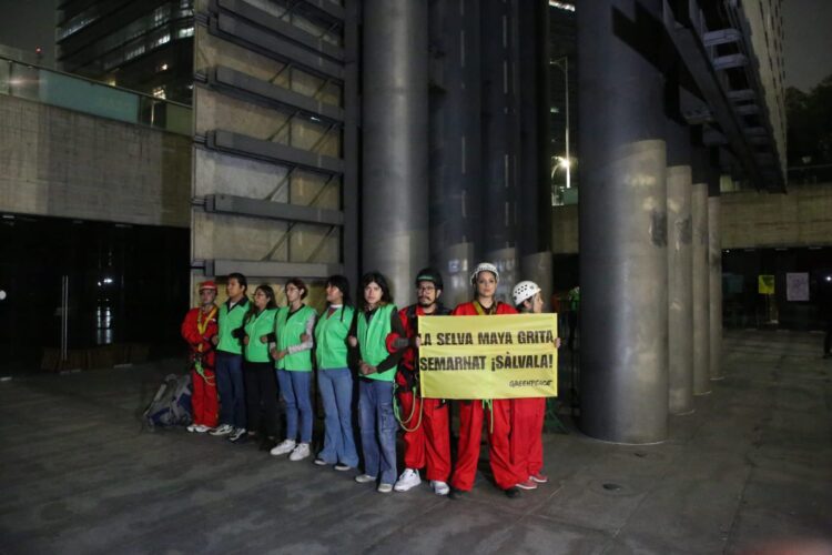 Activistas de Greenpeace México levantaron la voz para demandar detener la destrucción de la Selva Maya