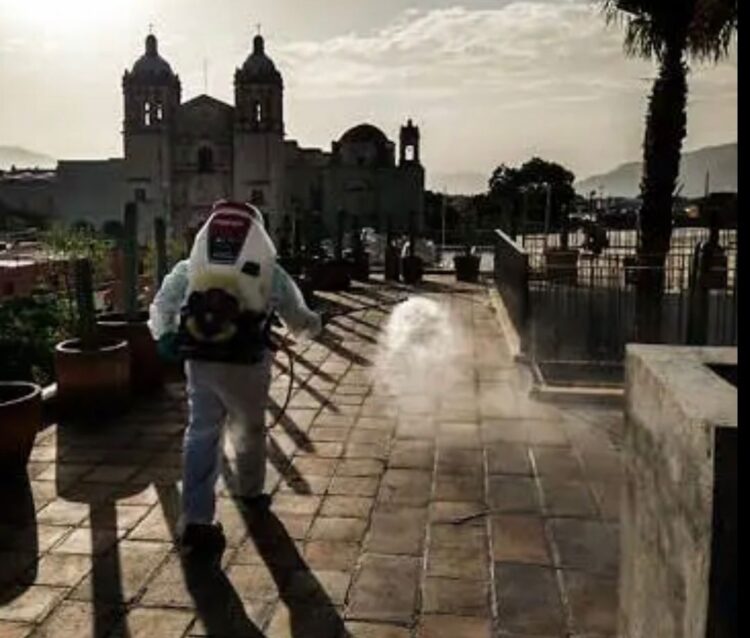 En Oaxaca reportan un brote atípico e inusitado de contagios de dengue en niños y niñas de entre 10 y 14 años de edad,