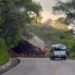 Un derrumbe registrado la tarde de este domingo en la carretera Ixtapan–Coatepec Harina dejó cinco personas lesionadas.
