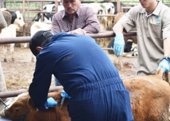 Con el fin de evitar la proliferación del gusano barrenador en el centro y norte del país, se da capacitación para fortalecer las acciones.