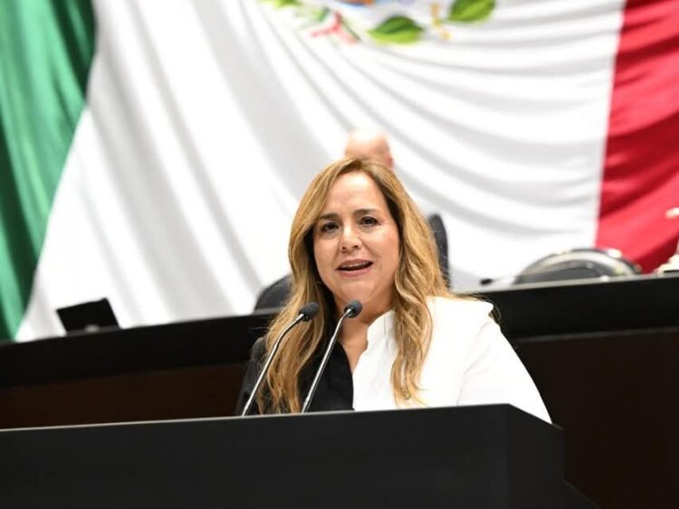 Tras el suicidio de un médico residente por acoso laboral, la diputada del PAN, Verónica Pérez Herrera, presentó la iniciativa denominada “Ley Abraham”.