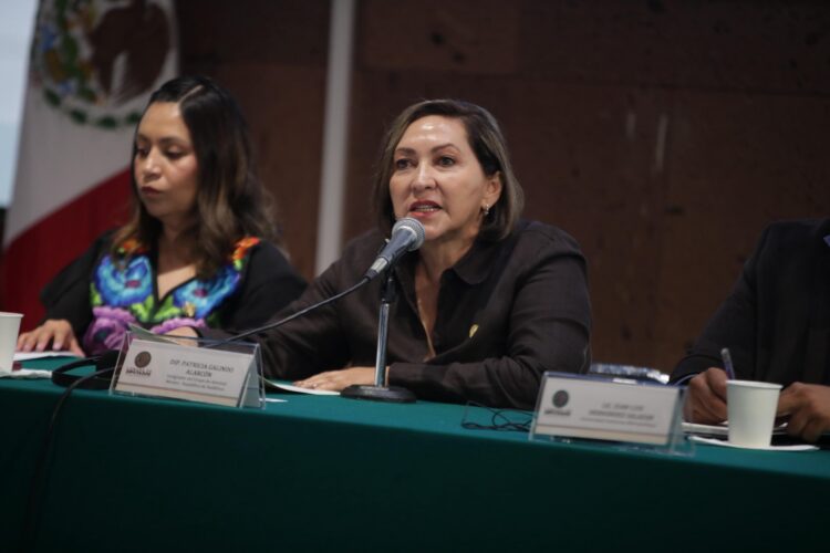 La diputada federal del PT, Nora Merina Escamilla impulsa la aprobación de la llamada Ley Monzón a nivel federal.