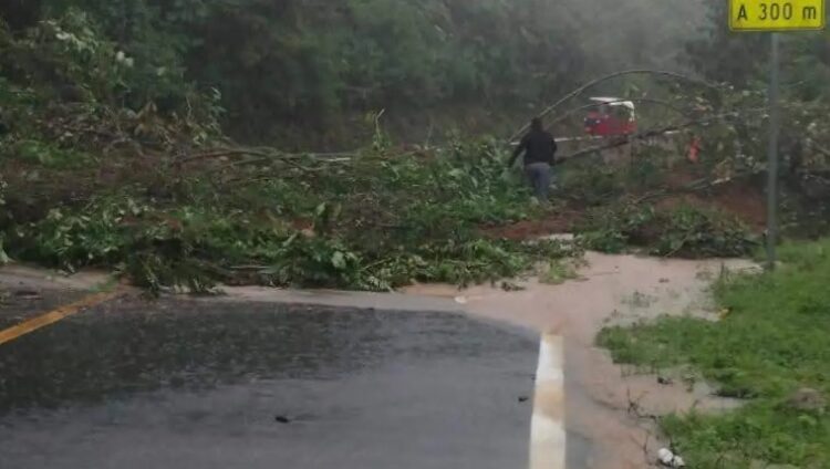 Protección Civil del estado de Chiapas alerta que ocho regiones en esta entidad se verán afectadas por las intensas lluvias, debido a la tormenta tropical “Narda”.