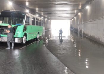 Plan Tlaloque atendió inundaciones y caída de árboles por lluvias