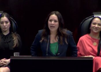 La senadora del PVEM, Karen Castrejón Trujillo destacó que su bancada es la tercera fuerza política en el Congreso de la Unión