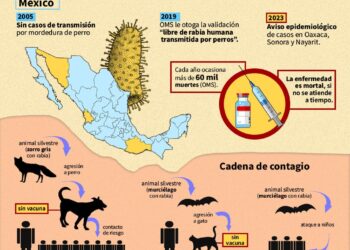 La rabia sigue siendo un problema de salud pública en México. Los especialistas señalan que, aunque se ha logrado la certificación como país libre de rabia humana