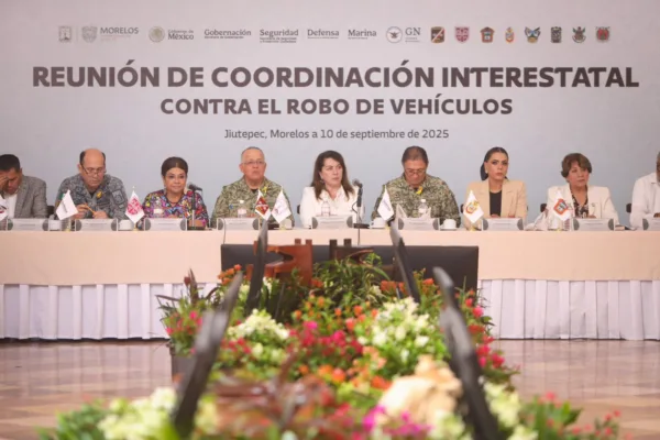 La gobernadora de Morelos, Margarita González Saravia explicó que al ser la Megalópolis la región más densamente poblada del país, la incidencia del robo de autos resulta más elevada que en otras zonas.