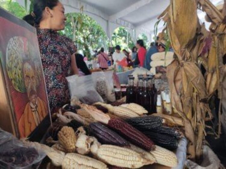 4º Festival Expo-venta de Maíces Nativos de Morelos