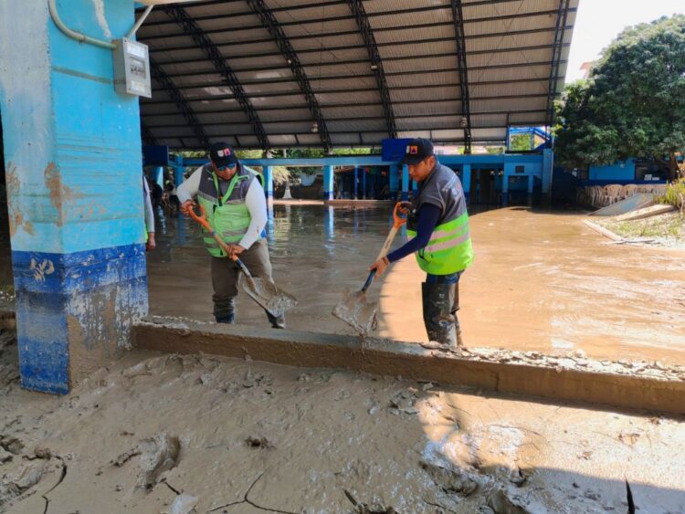 Apoyo de trabajadores de la CDMX a Veracruz. AMEXI /Foto: X /@ClaraBrugadaM