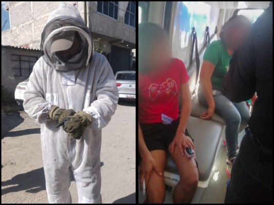 Breves informativas de los estados