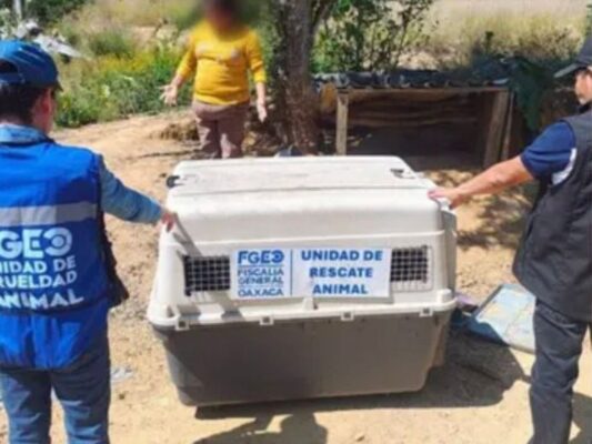 Breves informativas de los estados