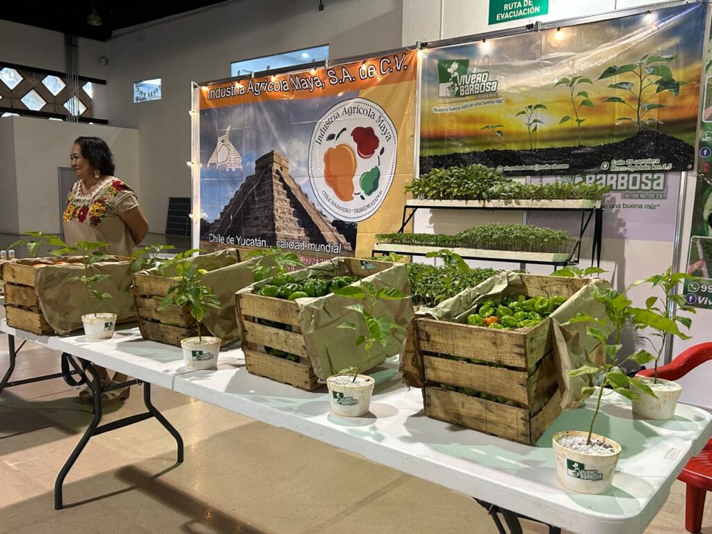 Yucatán, 23 de octubre, 2025. Buscan frenar abandono al campo y arraigar a nuevas generaciones en Yucatán. AMEXI / FOTO: Jesús Mejía