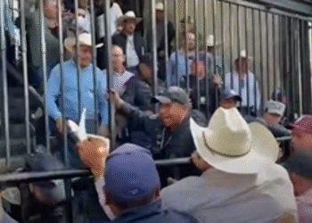 Fracasa negociación campesinos-Segob; productores rechazan propuesta federal y anuncian bloqueos