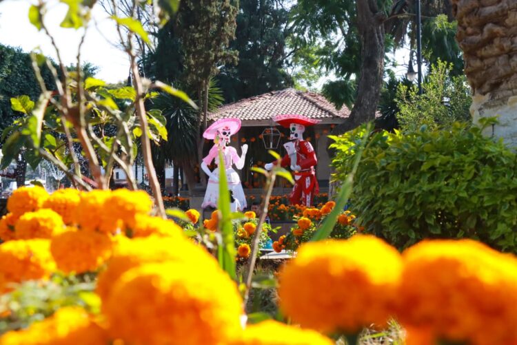 Estado de México, 30 de cotubre, 2025. Chimalhuacán impulsa producción y venta directa de flor de cempasúchil. AMEXI / FOTO: Luis Ayala