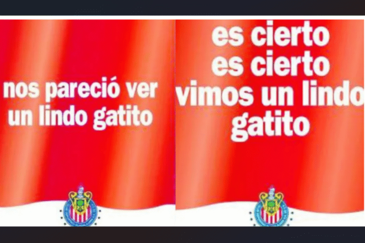 En alusión a Vergara: Pumas recibe a Chivas como ¿“un lindo gatito”?