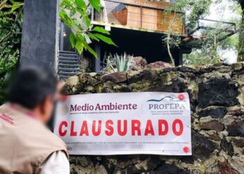 Clausura Profepa “cabañas turísticas” en Tepoztlán, Morelos