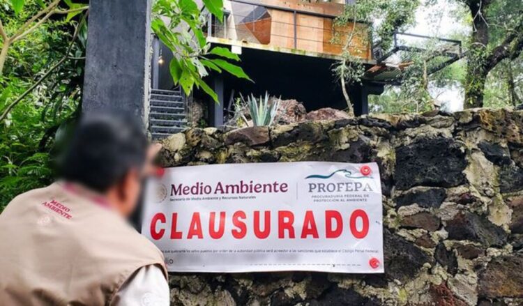 Clausura Profepa “cabañas turísticas” en Tepoztlán, Morelos