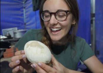 Radar Informativo Internacional (27 de octubre)