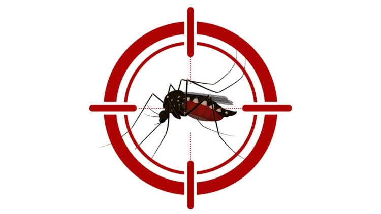 Emiten alertas sanitarias y refuerzan las medidas de prevención. 17 de octubre, 2025. AMEXI / Foto: cortesía del IMSS