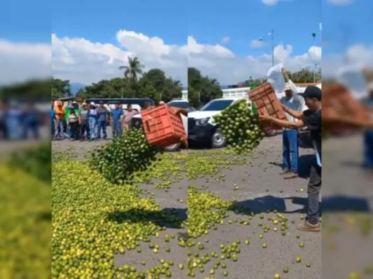 Crisis limonera en Apatzingán
