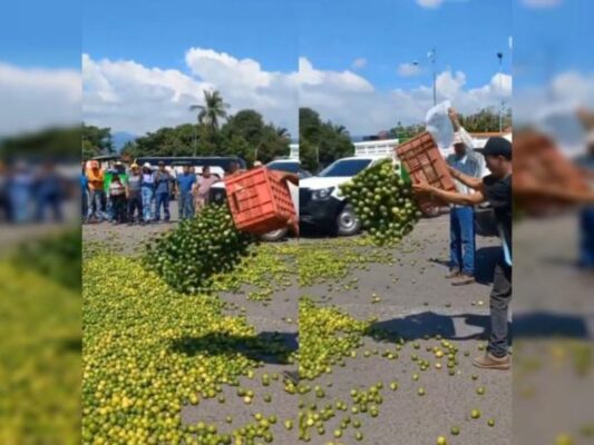 Crisis limonera en Apatzingán