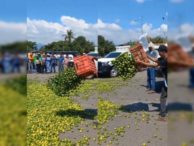 Crisis limonera en Apatzingán